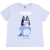 Bluey Matching Family T-Shirt Toddler to Adult Sizes (2T – 3XL)(Nana  Blue)