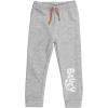 Bluey Fleece Pullover Hoodie and Pants Outfit Set Toddler to Little Kid Sizes (2T – 7-8)(Blue / Grey)