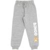 Bluey Fleece Pullover Hoodie and Pants Outfit Set Toddler to Little Kid Sizes (2T – 7-8)(Orange / Gray)