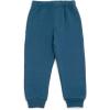 Bluey Fleece Pullover Hoodie and Pants Outfit Set Toddler to Little Kid Sizes (2T – 7-8)(Teal / Blue  Bluey)