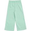 Bluey Fleece Sweatshirt and Jogger Pants Outfit Set Infant to Big Kid Sizes (12 Months – 14-16)(Spring Green)