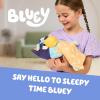 Bluey Sleepy Time Bingo Talking Plush, Soothing Baby Toy for Sleep, 7 Show Phrases & Theme Song, Cuddle Buddy(Sleepy Time Bluey)