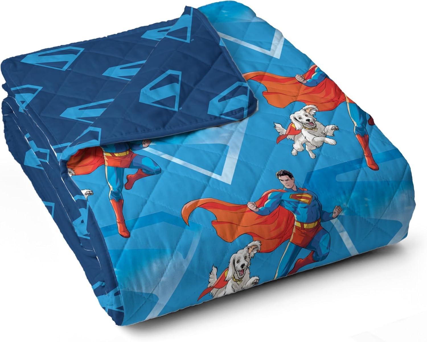 imageNorthwest Bluey Goofing Around Quilted Throw Blanket Official Cartoon Throw Blanket Featuring Bluey for Adults Boys Girls Bed Couch or Playroom 60 x 80 InchesAbove Metropolis