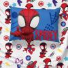 Jay Franco Bluey & Bingo 5 Piece Twin Size Bed Set – Includes Comforter & Sheet Set – Super Soft Kids Bedding Fade Resistant Microfiber (Official Bluey Product)(Blue – Spidey & Friends)