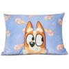 Northwest Bluey Party Pups Silk Touch Throw Blanket 50 x 60 Inches with Bluey Plush Pocket Pillow 14 x 20 Inches – Comfy & Cozy Bluey Blanket & Pillow Set for Boys and Girls(Bluey Bingo Joy)