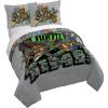 Grey - Teenage Mutant Ninja Turtles