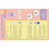 Bluey: More Easter Fun!: A Craft Book: Includes Easter Pouch Cutout