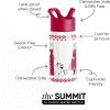 Simple Modern Kids Summit Water Bottle with Straw Lid |Bluey 18oz Stainless Steel Cup Insulated Tumbler for Girls, Boys, School | Bluey Sky(Disney-Frozen Red Dress Winter)