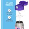 THERMOS FUNTAINER Water Bottle with Straw – 12 Ounce – Kids Stainless Steel Vacuum Insulated Water Bottle with Lid, Bluey(Minnie and Friends)