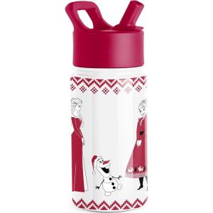 Simple Modern Kids Summit Water Bottle with Straw Lid |Bluey 18oz Stainless Steel Cup Insulated Tumbler for Girls, Boys, School | Bluey Sky(Disney-Frozen Red Dress Winter)