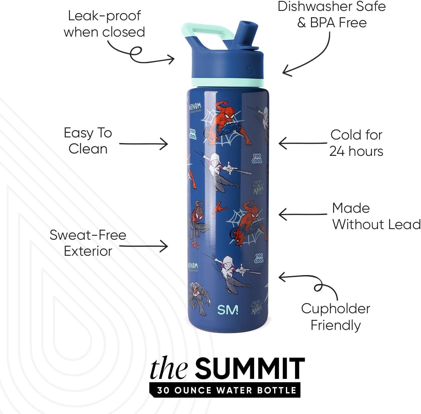 imageSimple Modern Summit Water Bottle with Straw Lid Bluey 30oz Leak Proof Stainless Steel Insulated Cup Gifts for Her Him Bluey StripesMarvel Spiderman Mashup