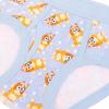 Bluey Boys’ Briefs of 100% Combed Cotton Underwear Briefs, Sizes 18m, 2/3t, 4t, 4, 6, and 8(7-pack Bluey)
