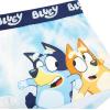 Bluey Women’s Juniors and Ladies Sports Bra & Boy Short Underwear Sets in Sizes Xxxs-xl(2-pack Bluey)