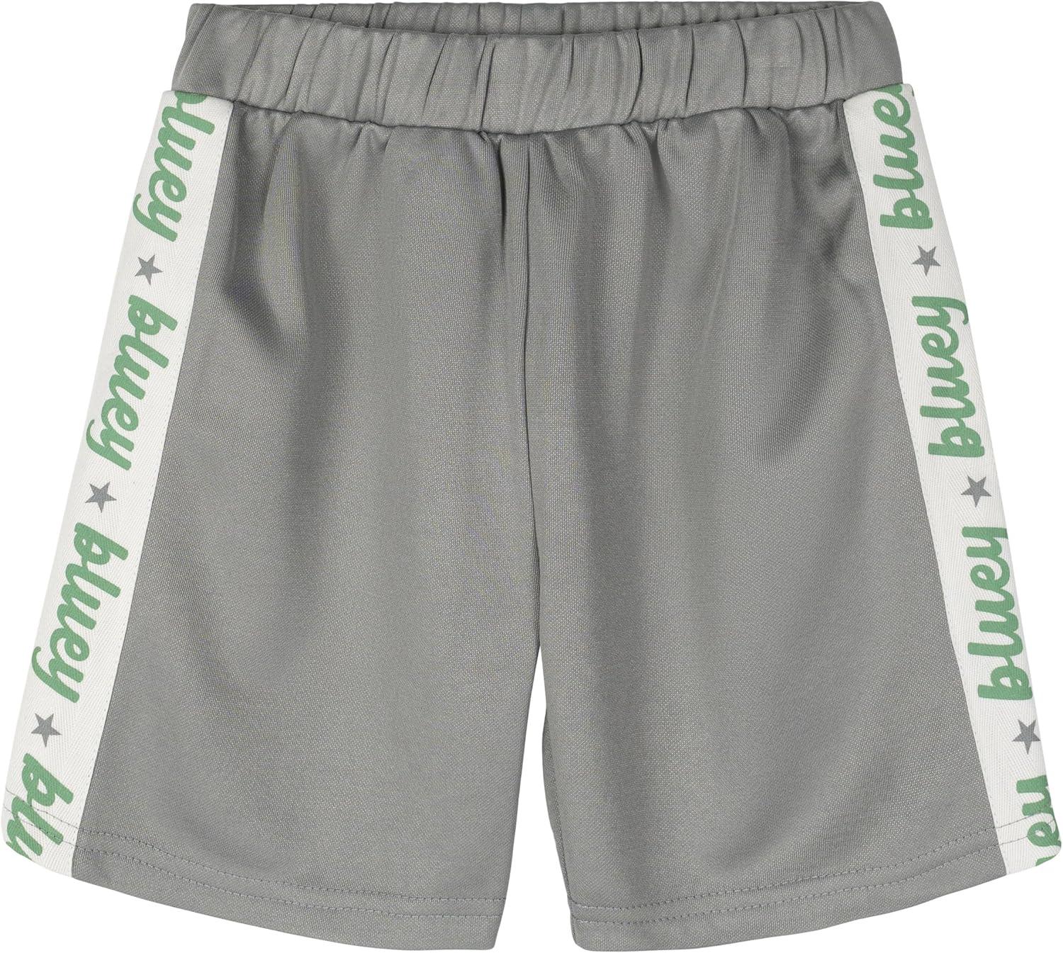 imageBluey TShirt and Mesh Shorts Outfit Set Infant to Big Kid Sizes 12 Months 1012Sage Green Gray