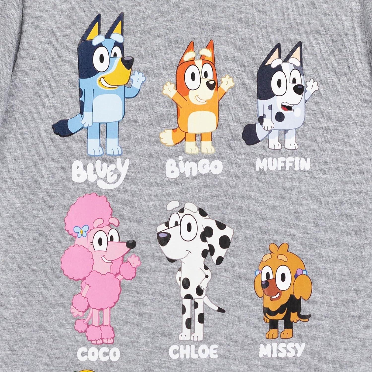 imageBluey Winton Snickers Honey Muffin Bandit Dad Chilli Mom Missy Chloe Coco Bingo Girls 2 Pack TShirts Toddler to Little KidBlue Grey