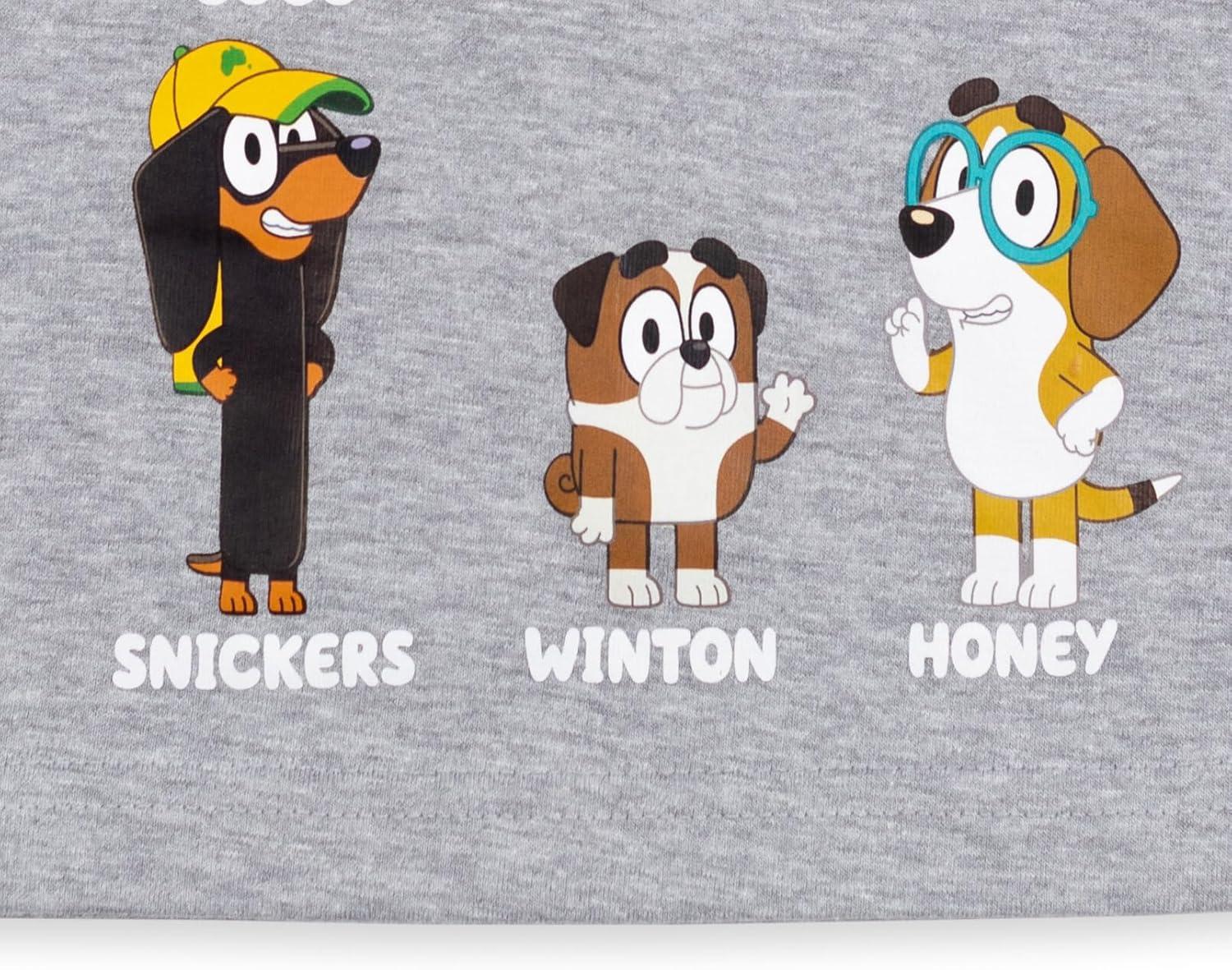 imageBluey Winton Snickers Honey Muffin Bandit Dad Chilli Mom Missy Chloe Coco Bingo Girls 2 Pack TShirts Toddler to Little KidBlue Grey