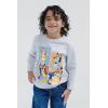 Bluey Bingo Dad Mom 2 Pack T-Shirts Toddler to Little Kid(Blue/Gray)