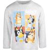 Bluey Bingo Dad Mom 2 Pack T-Shirts Toddler to Little Kid(Blue/Gray)
