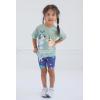 Bluey Bingo Girls T-Shirt and Shorts Outfit Set Toddler to Big Kid(Green / Blue)