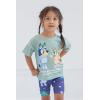 Bluey Bingo Girls T-Shirt and Shorts Outfit Set Toddler to Big Kid(Green / Blue)