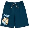 Bluey Drop Shoulder T-Shirt French Terry Shorts and Adjustable Snapback Baseball Cap 3 Piece Outfit Set Toddler to Big Kid(Bluey & Family)