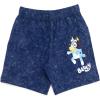 Bluey Drop Shoulder T-Shirt and Shorts Outfit Set Toddler to Big Kid Sizes (2T – 10-12)(Blue)