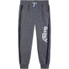 Bluey Fleece 2 Pack Jogger Pants Toddler to Big Kid Sizes (2T – 10-12)(Blue / Gray)