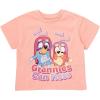 Bluey Girls 3 Pack T-Shirts Toddler to Big Kid Sizes (2T – 10-12)(Lavender / Pink / Peach)