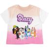 Bluey Girls 3 Pack T-Shirts Toddler to Big Kid Sizes (2T – 10-12)(Lavender / Pink / Peach)