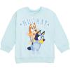 Bluey Girls Fleece Sweatshirt and Pleated Skirt Toddler to Big Kid Sizes (2T – 10-12)(Sky Blue)