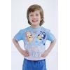 Bluey July 4th Halloween Christmas Birthday School Heart T-Shirt Infant to Big Kid Sizes (12 Months – 10-12)(Blue  Birthday Fun)