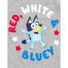 Bluey July 4th Halloween Christmas Birthday School Heart T-Shirt Infant to Big Kid Sizes (12 Months – 10-12)(Gray / 4th of July)