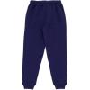 Bluey Polo Shirt and Fleece Jogger Pants Outfit Set Toddler to Big Kid Sizes (2T – 10-12)(Pale Blue / Indigo)