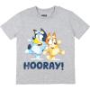 Bluey Shirts 3 Pack, Boys T-Shirts for Summer, Pack of 3 Boys Tshirt, Kids Cotton T Shirt(Blue)