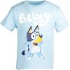 Bluey Shirts 3 Pack, Boys T-Shirts for Summer, Pack of 3 Boys Tshirt, Kids Cotton T Shirt(Orange/Blue/Gray)