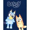 Bluey T-Shirt and Mesh Shorts Outfit Set Infant to Big Kid Sizes (12 Months – 10-12)(Blue / Silver)