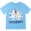 Bluey T-Shirt and Mesh Shorts Outfit Set Infant to Big Kid Sizes (12 Months – 10-12)(Blue)