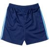Bluey T-Shirt and Mesh Shorts Outfit Set Infant to Big Kid Sizes (12 Months – 10-12)(Blue)