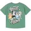 Bluey T-Shirt and Mesh Shorts Outfit Set Infant to Big Kid Sizes (12 Months – 10-12)(Sage Green / Gray)