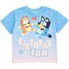 Blue  Birthday Fun