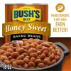 BUSH’S BEST 15.8 oz Canned Bluey Original Baked Beans, Source of Plant Based Protein and Fiber, Low Fat, Gluten Free, (Bluey), (Pack of 12)(Honey Sweet)