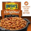 BUSH’S BEST 15.8 oz Canned Bluey Original Baked Beans, Source of Plant Based Protein and Fiber, Low Fat, Gluten Free, (Bluey), (Pack of 12)(Original)
