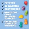 Bluey Fruit Flavored Snacks, Treat Pouches, Gluten Free Snack, Value Pack, 22 Ct, 17.6 oz(Assorted Fruit)