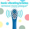 Colgate Kids Powered Vibrating Toothbrush Bluey 1 Pack(1 Count (Pack of 1))