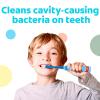 Colgate Kids Powered Vibrating Toothbrush Bluey 1 Pack(1 Count (Pack of 2))