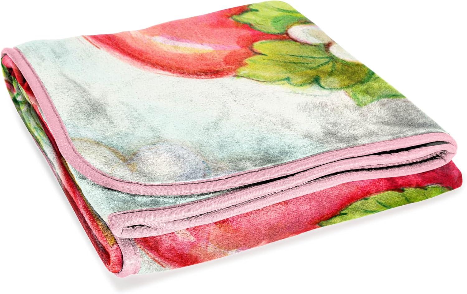 imageJay Franco Kids Plush Throw Blanket Soft amp Comfy Throw for Couch or Bed Cozy Home Dcor for Living Room amp Bedroom Pink Bluey 40x50 Travel BlanketMulti Strawberry Shortcake