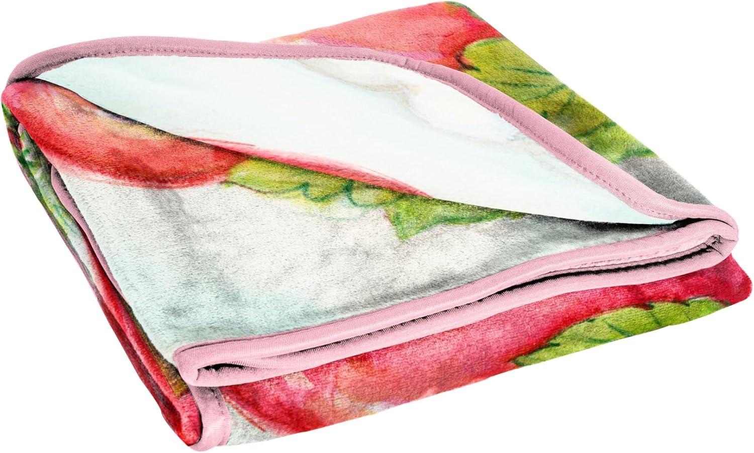 imageJay Franco Kids Plush Throw Blanket Soft amp Comfy Throw for Couch or Bed Cozy Home Dcor for Living Room amp Bedroom Pink Bluey 40x50 Travel BlanketMulti Strawberry Shortcake