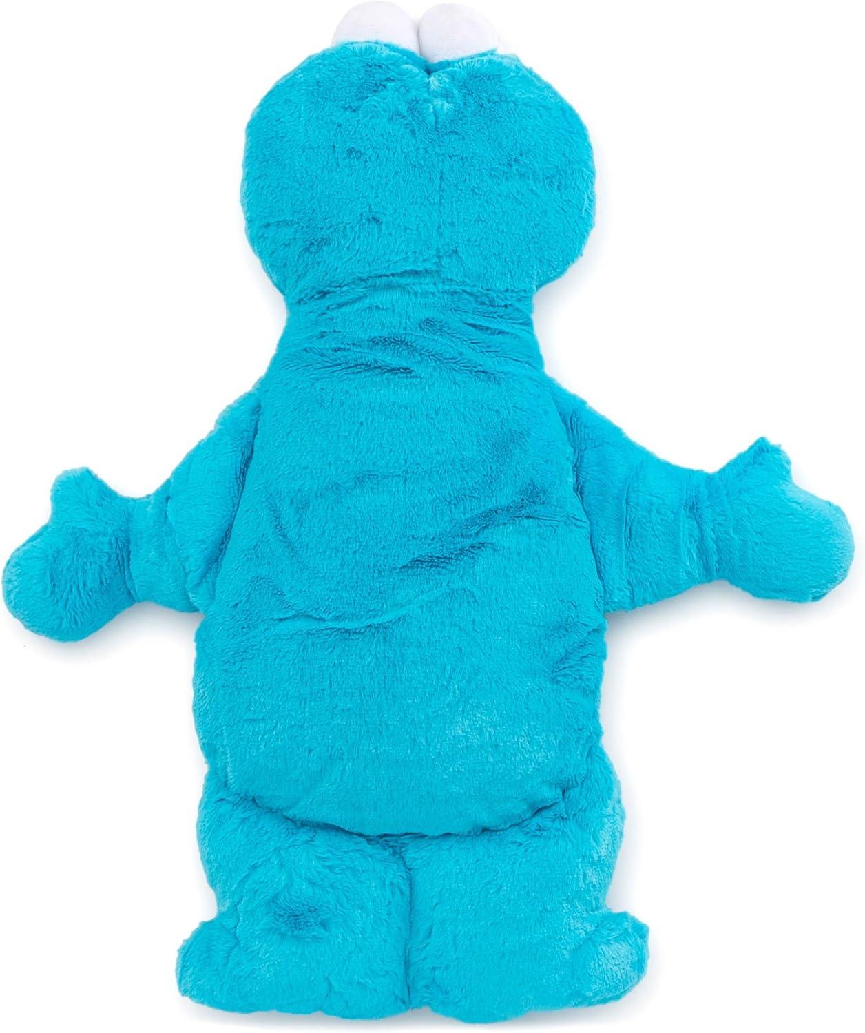 imageJay Franco Plusg Pillow Buddy Super Soft Polyester Microfiber Bluey 19 InchesBlue Cookie Monster