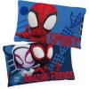 Jay Franco Bluey Hello 1 Single Reversible Pillowcase – Double-Sided Kids Super Soft Bedding (Official Bluey Product)(Blue – Spiderman)