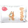 Jay Franco Bluey & Bingo 1 Single Reversible Pillowcase – Double-Sided Kids Super Soft Bedding (Official Bluey Product)(Teal – Bluey)